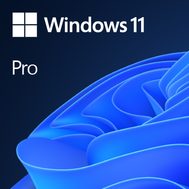 Windows Pro 11 64-bit